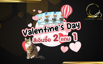โปรโมชั้นต้อนรับ “เดือนแห่งความรัก”