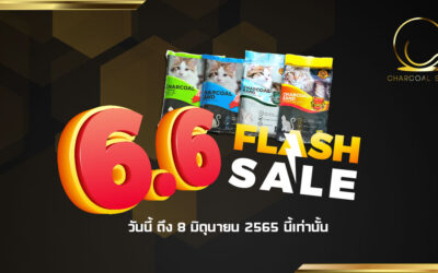 โอเค อายูเรดี้ กับโปรโมชั่น FLASH SALE 6.6 “วอ เอ๊ะ เอ๊ะ เอ๊ะ มอ มอ มอ”